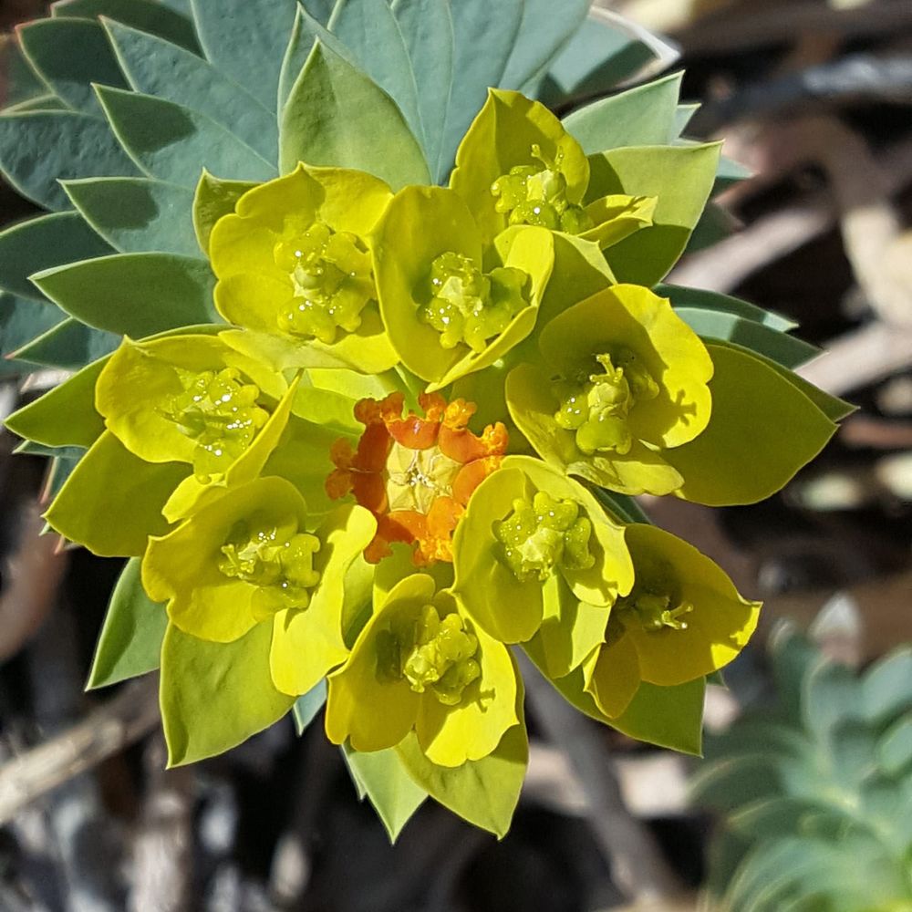 Meet your Posher, Mariah